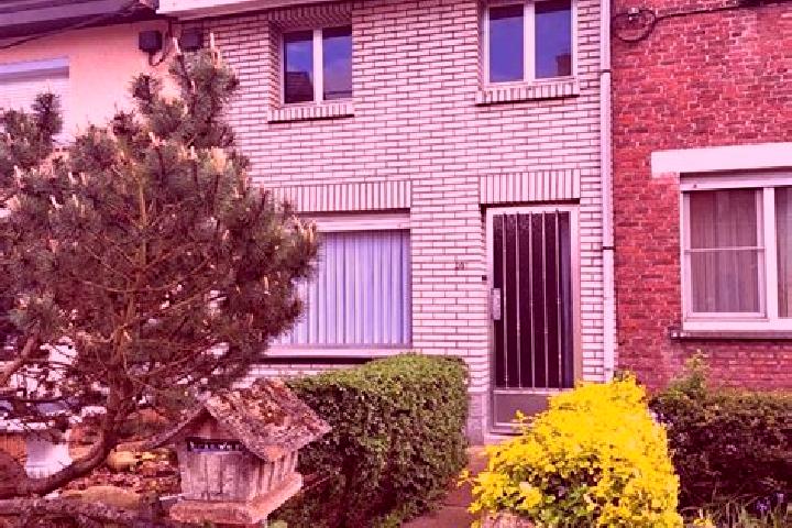Maya, 35 — Escort in Hofstade, Belgium