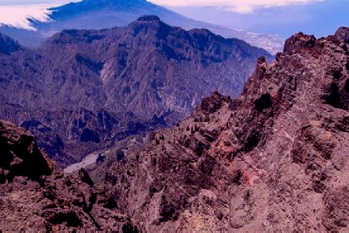 Maya, 35 — Escort in La Palma de Emenguaro, Mexico