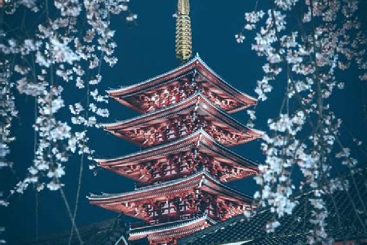 Maya, 36 — Escort in Kosuge, Japan