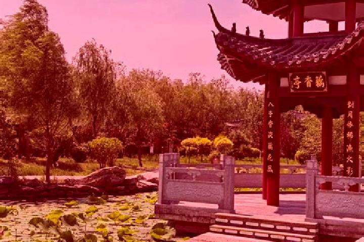 Maya, 36 — Escort in Nenjiang, China