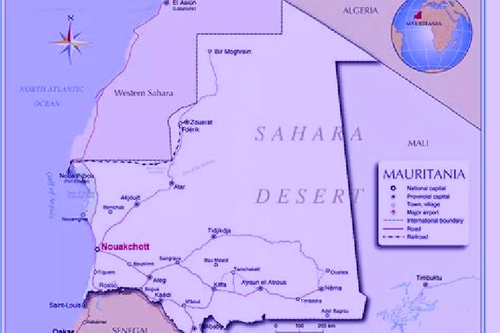 Maya, 37 — Escort in Bogue, Mauritania