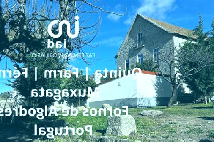 Maya, 37 — Escort in Fornos de Algodres, Portugal