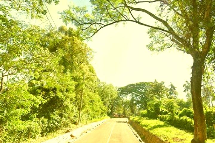 Maya, 37 — Escort in Kisii, Kenya