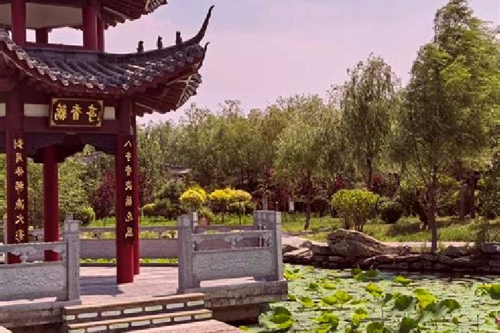 Maya, 37 — Escort in Nenjiang, China