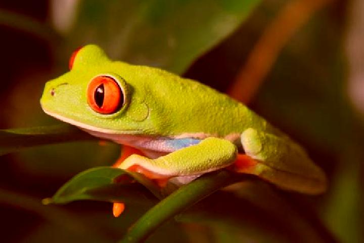 Maya, 38, a red green-eyed european companion based in Lyuban . Offering OWO, A-Level, Roleplay, Dinner Date. Available for incall and outcall, overnight boo...