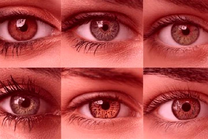 Maya, 38, a red hazel-eyed slavic companion based in Obhausen. Offering Massage, Erotic Massage, Prostate Massage. Available for incall and outcall, day and ...
