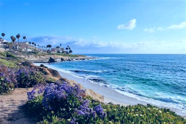 Maya, 38 — Escort in La Jolla, United States