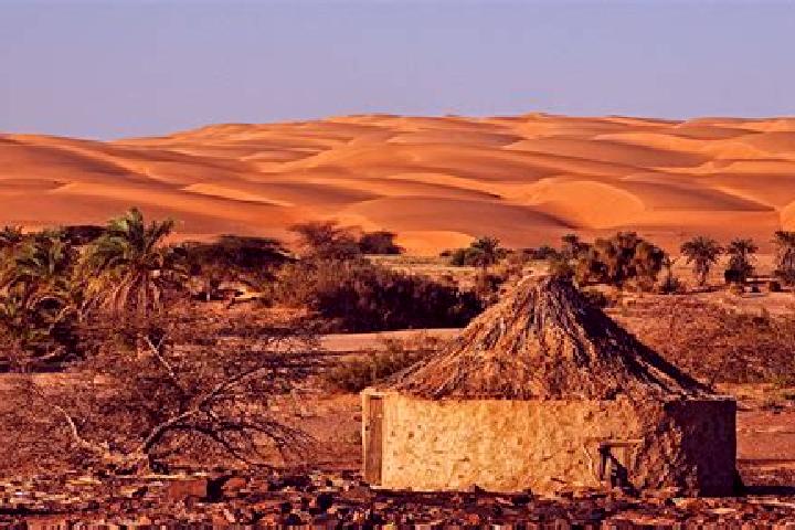 Maya, 38 — Escort in Mijek, Western Sahara