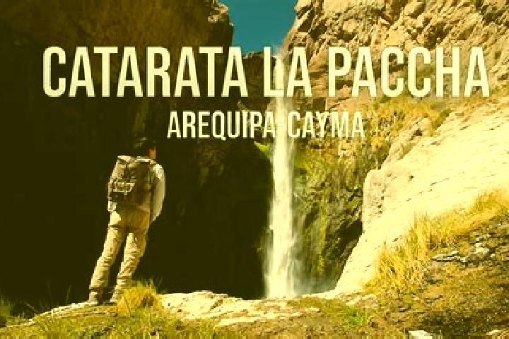Maya, 38 — Escort in Paccha, Peru