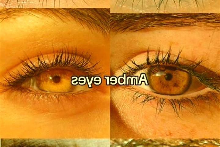 Maya, 39, a brunette amber-eyed ebony companion based in Pisarov. Offering BDSM, Girlfriend Experience, Dinner Date. Available for incall and outcall, overni...