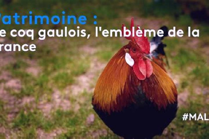 Maya, 39 — Escort in Landes-le-Gaulois, France