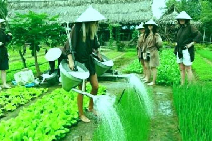 Maya, 39 — Escort in Tra Que Vegetable Village, Vietnam