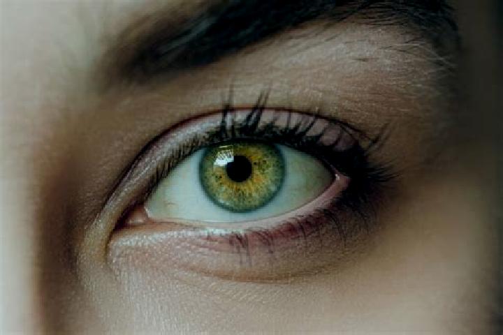 Mia, 20, a auburn hazel-eyed slavic companion based in Hazel Green. Offering Domination, Massage, Travel Companion, GFE. Available for incall and outcall, da...