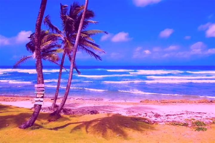 Mia, 20 — Escort in Bathsheba, Barbados