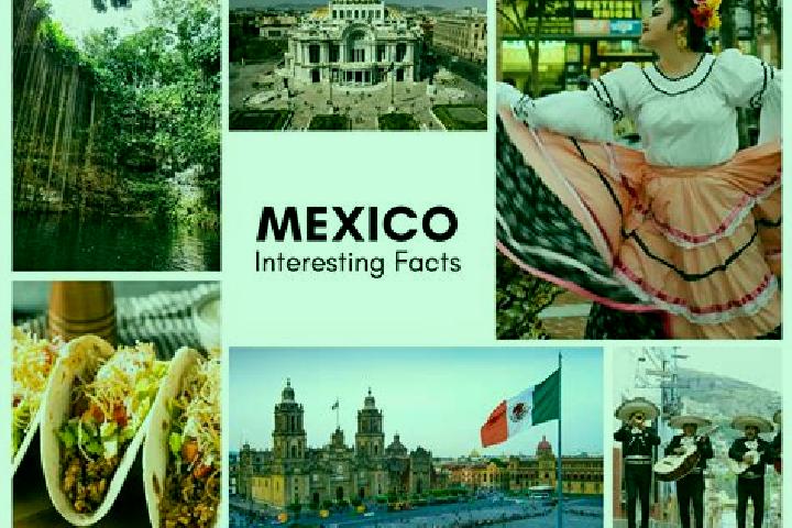 Mia, 20 — Escort in Cerecuaro, Mexico