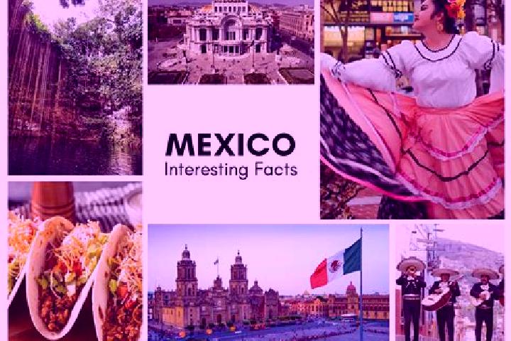 Mia, 20 — Escort in Saladero, Mexico