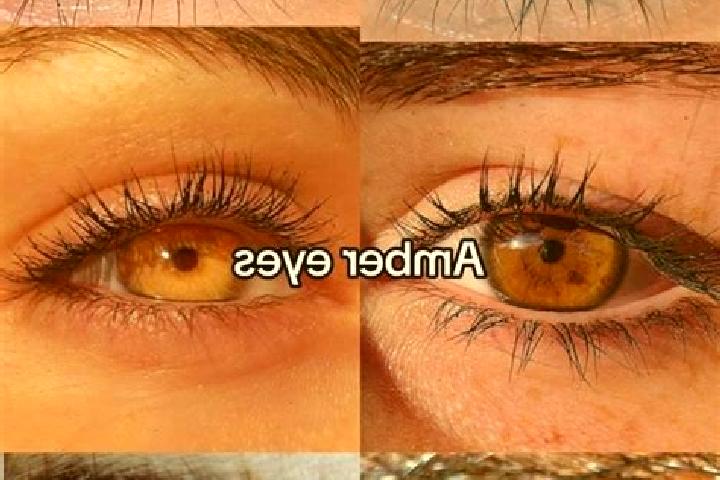 Mia, 21, a chestnut amber-eyed ebony companion based in Arensgenhout. Offering Overnight, OWO, Duos. Available for incall and outcall, day and evening dates.