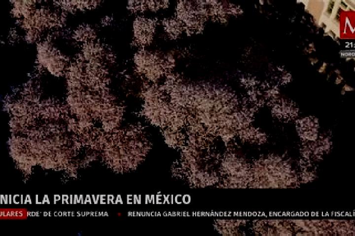 Mia, 21 — Escort in Nueva Primavera, Mexico