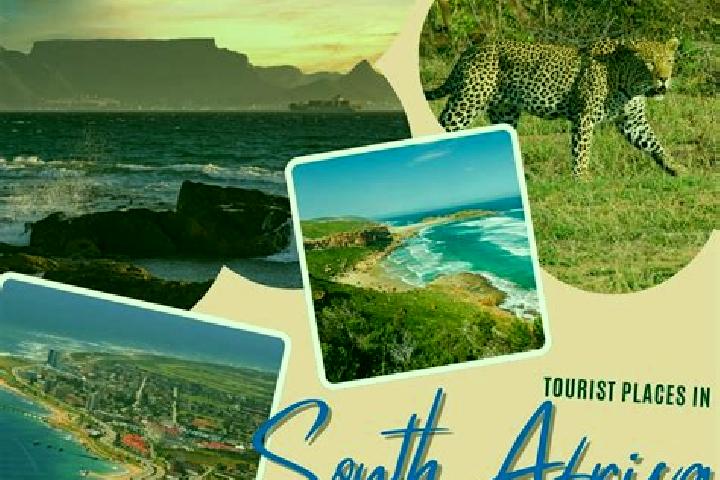 Mia, 22 — Escort in Addo, South Africa