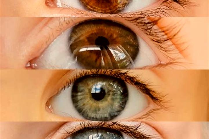 Mia, 23, a chestnut brown-eyed mixed companion based in Ein Vered. Offering Travel Companion, 69, Erotic Massage, Fetish. Available for incall and outcall, d...