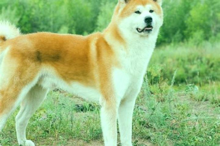 Mia, 23 — Escort in Kita-Akita, Japan