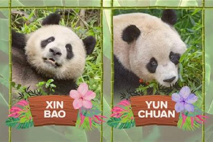 Mia, 23 — Escort in Xinbao, China