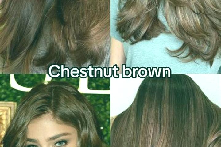 Mia, 24, a chestnut dark-eyed latina companion based in La Malbaie. Offering Duos, CIM, Massage, Dinner Date. Available for incall and outcall, day and eveni...