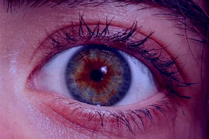 Mia, 24, a red hazel-eyed european companion based in Pajaten. Offering CIM, Striptease, Overnight. Available for incall and outcall, overnight bookings avai...