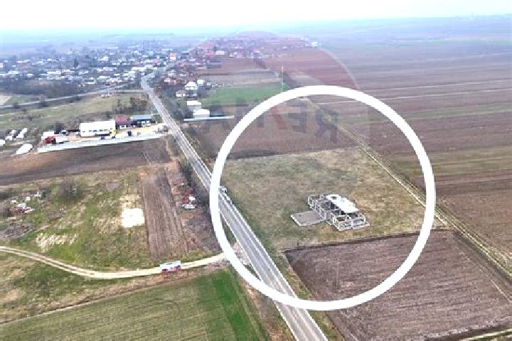 Mia, 24 — Escort in Hutani, Romania