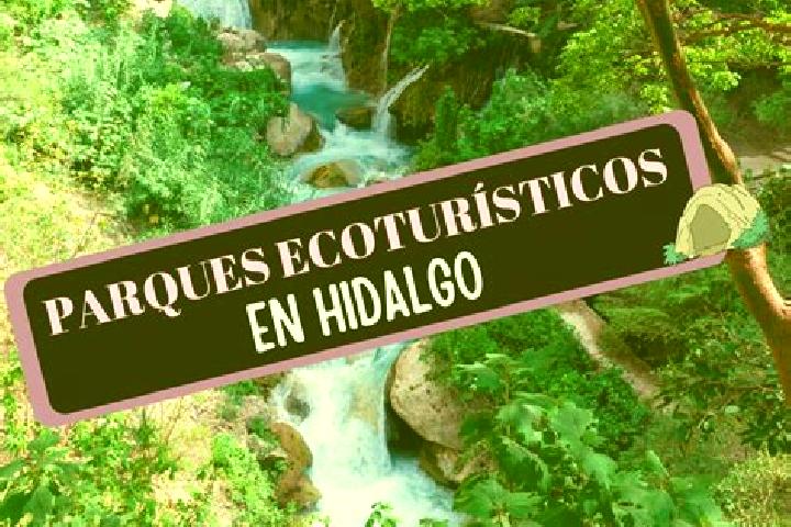 Mia, 24 — Escort in San Pedro Zictepec, Mexico