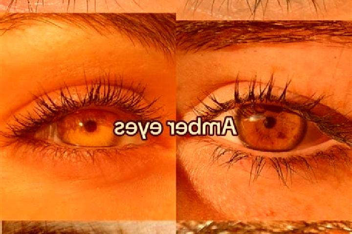 Mia, 25, a chestnut amber-eyed european companion based in Pontecorvo. Offering OWO, Travel Companion, Tantra. Available for incall and outcall, day and even...