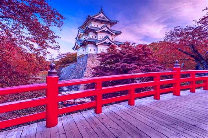 Mia, 25 — Escort in Aomori, Japan