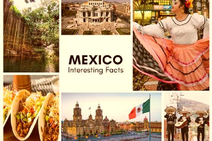Mia, 25 — Escort in Chigmecatitlan, Mexico