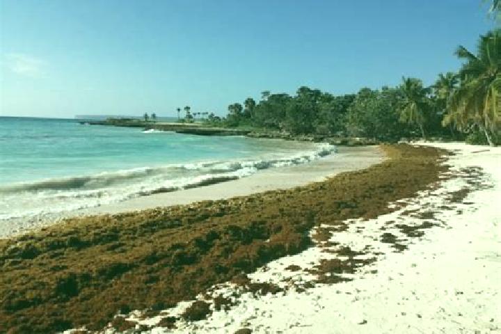 Mia, 25 — Escort in Santa Cruz de El Seibo, Dominican Republic