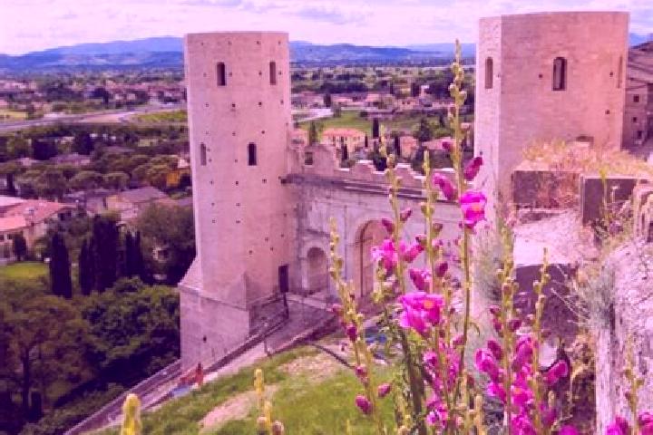 Mia, 25 — Escort in Spello, Italy