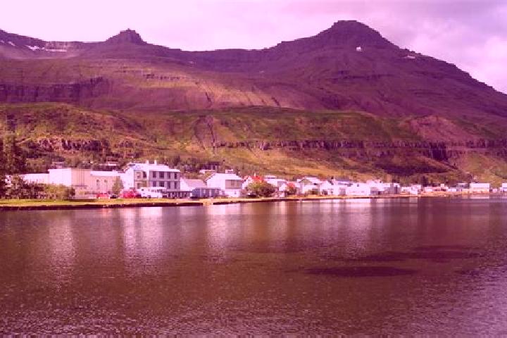 Mia, 26 — Escort in Olafsfjoerdur, Iceland