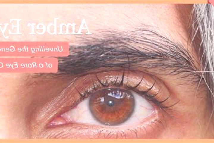 Mia, 27, a red amber-eyed mediterranean companion based in Carnaiba. Offering 69, CIM, Couples, Girlfriend Experience. Available for incall and outcall, over...