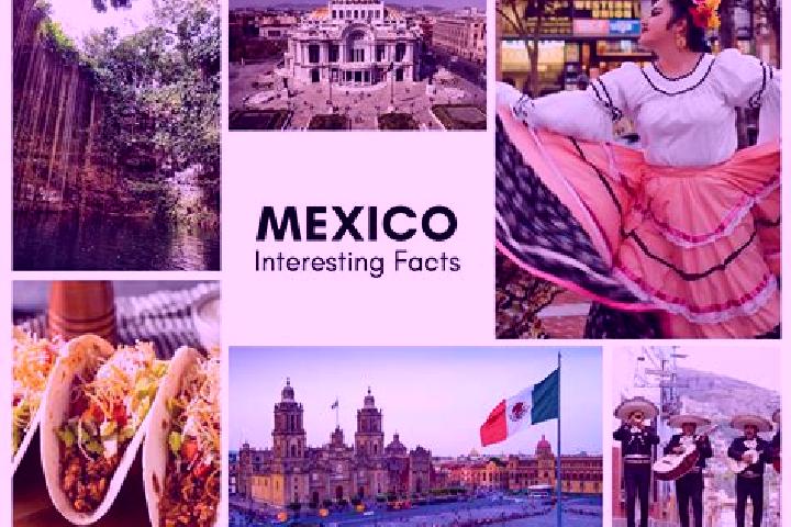 Mia, 27 — Escort in La Sombra, Mexico
