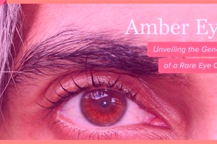 Mia, 28, a red amber-eyed caribbean companion based in Zoelkow. Offering Overnight, Deep French Kissing, Striptease, Massage, Domination. Available for incal...