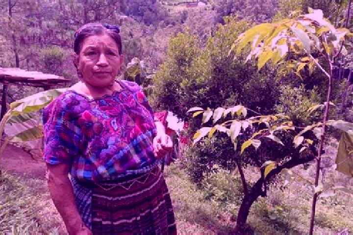 Mia, 29 — Escort in Santa Maria Chiquimula, Guatemala