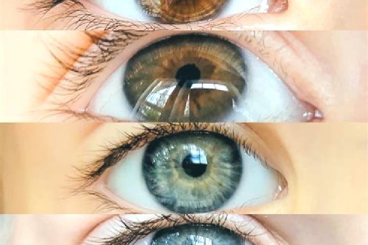 Mia, 30, a chestnut hazel-eyed mixed companion based in Chilongolo. Offering Duos, Domination, Overnight. Available for incall and outcall, day and evening d...