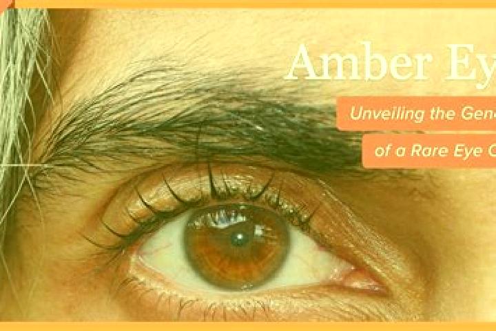 Mia, 30, a red amber-eyed caucasian companion based in Mandresti. Offering Roleplay, Domination, Deep French Kissing, Striptease. Available for incall and ou...