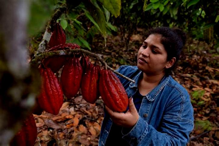 Mia, 30 — Escort in Francisco J. Santamaria (Cacao), Mexico