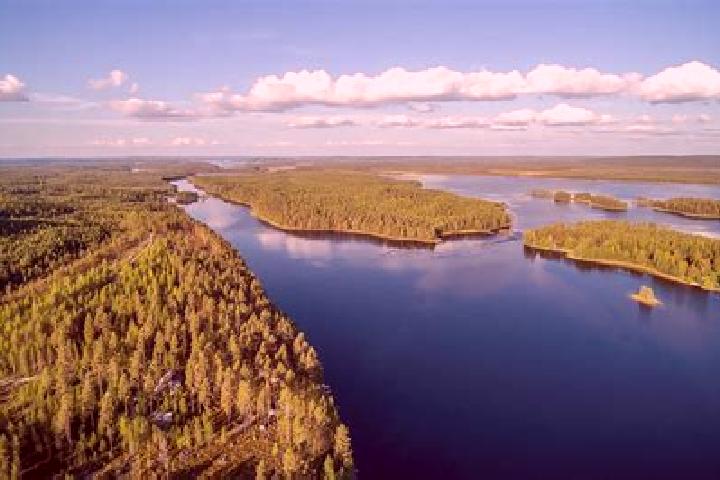 Mia, 30 — Escort in Lieksa, Finland
