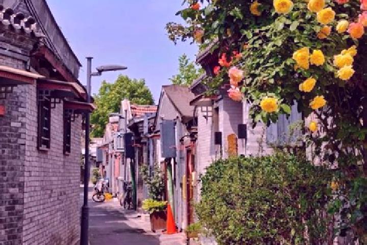 Mia, 31 — Escort in Beiling, China