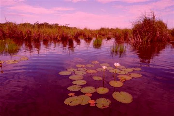 Mia, 31 — Escort in Pantanal, Mexico