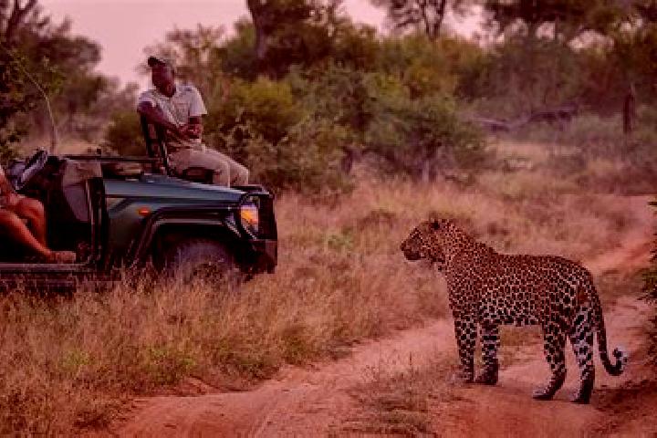 Mia, 31 — Escort in Sabi-Sand Game Reserve, South Africa