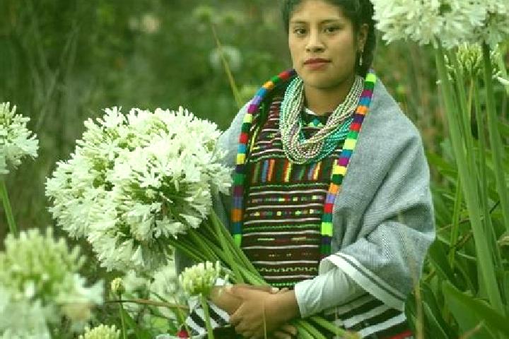 Mia, 31 — Escort in San Jose Xochixtlan, Mexico