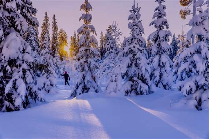 Mia, 31 — Escort in Tervakoski, Finland