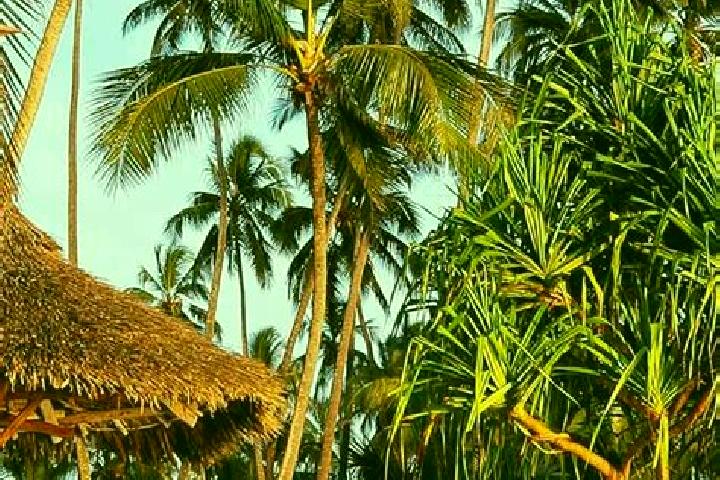 Mia, 32 — Escort in Lulindi, Tanzania